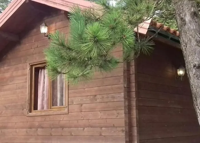 Iliria Tiny House Llogora