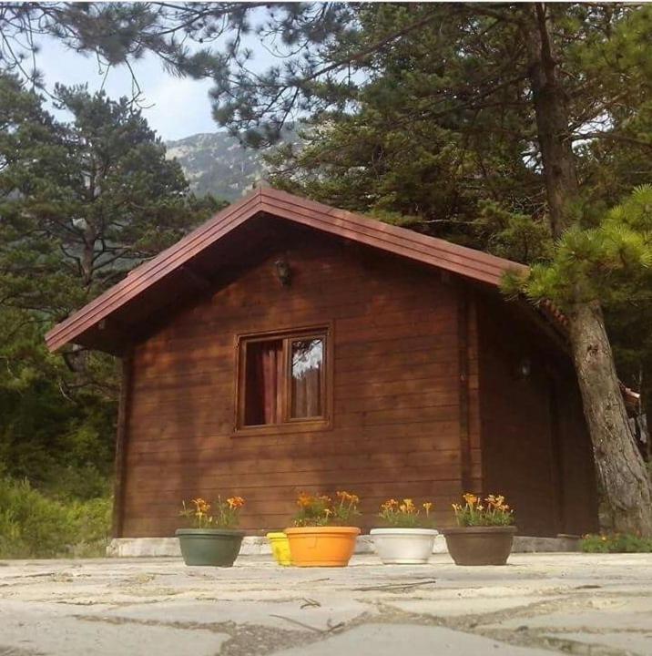 Iliria Tiny House Llogora Apartament *