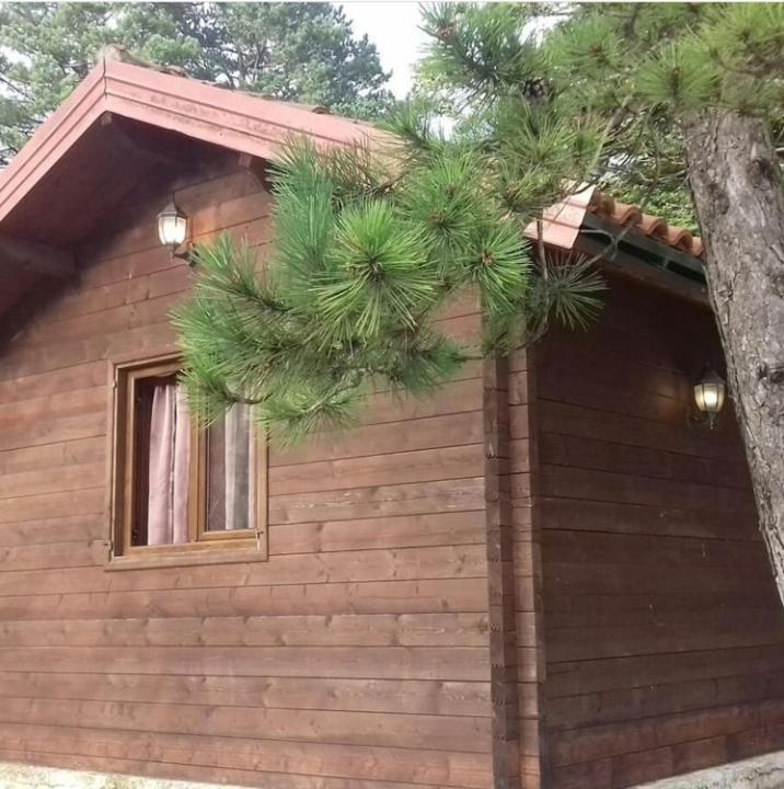 Iliria Tiny House Llogora Apartament *