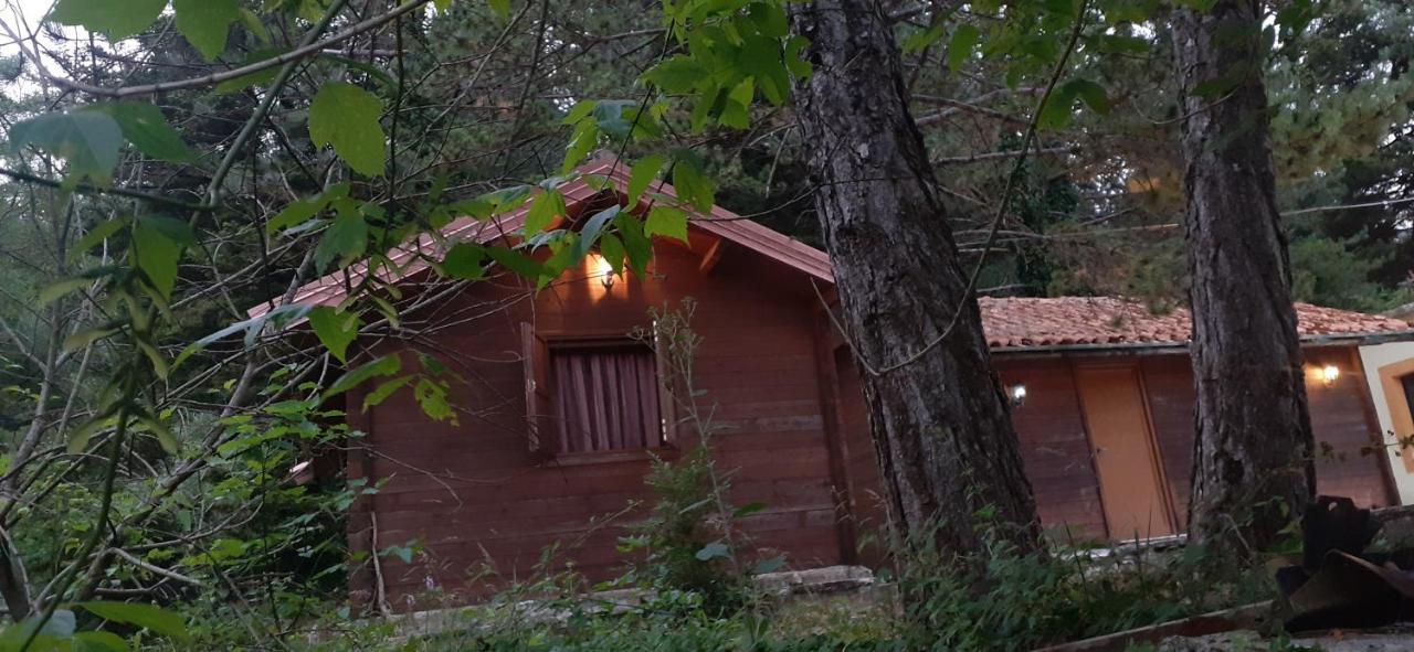 Iliria Tiny House Llogora Apartament Orikum