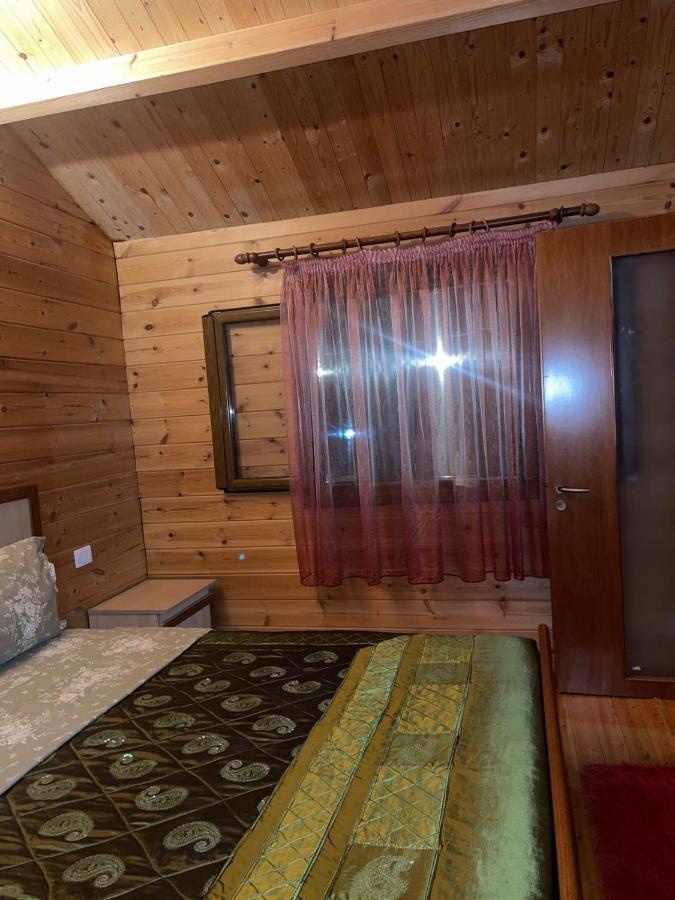 Apartament Iliria Tiny House Llogora *